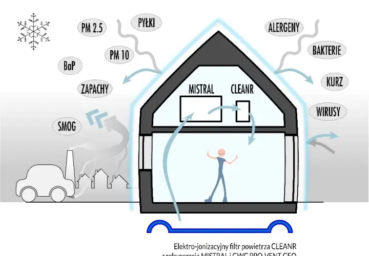 Czyste powietrze w domu i mieście? Skuteczne sposoby na smog!