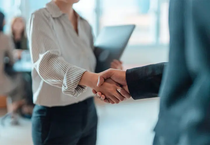Una stretta di mano che sigilla un accordo, un momento di connessione e attrazione professionale in un ambiente d'ufficio.