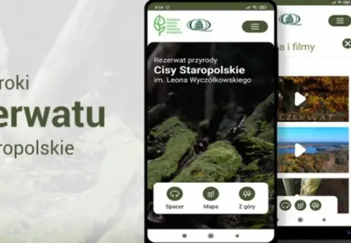 Najstarszy rezerwat przyrody w Polsce - historia i unikalne atrakcje