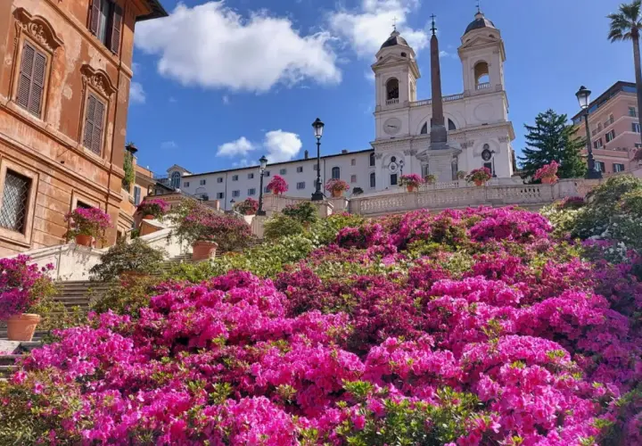 Escalier de la Trinité-des-Monts à la Piazza di Spagna, Rome, fleuri de magnifiques azalées roses et blanches sous un ciel bleu.