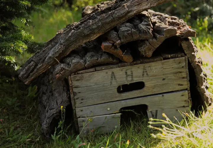 Ein selbstgebautes, katzensicheres Igelhaus aus Holz und Rinde, versteckt im Gras unter einem Baum.