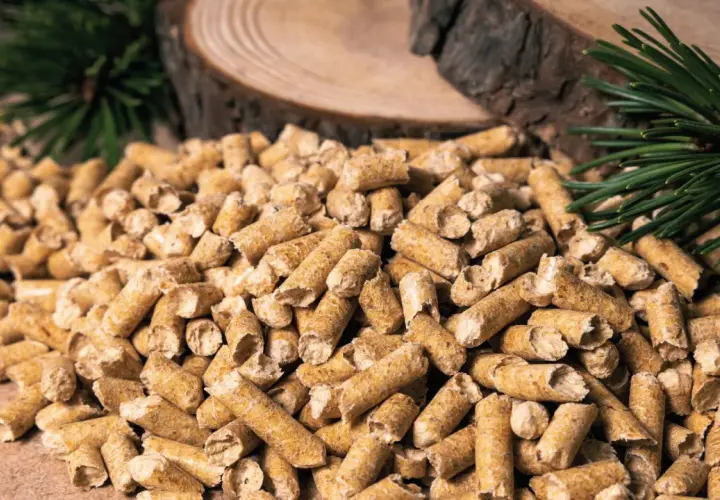 Gros tas de granulés de bois, parfaits pour la consommation pellet maison 80m2. Des branches de pin et des rondins de bois en arrière-plan.