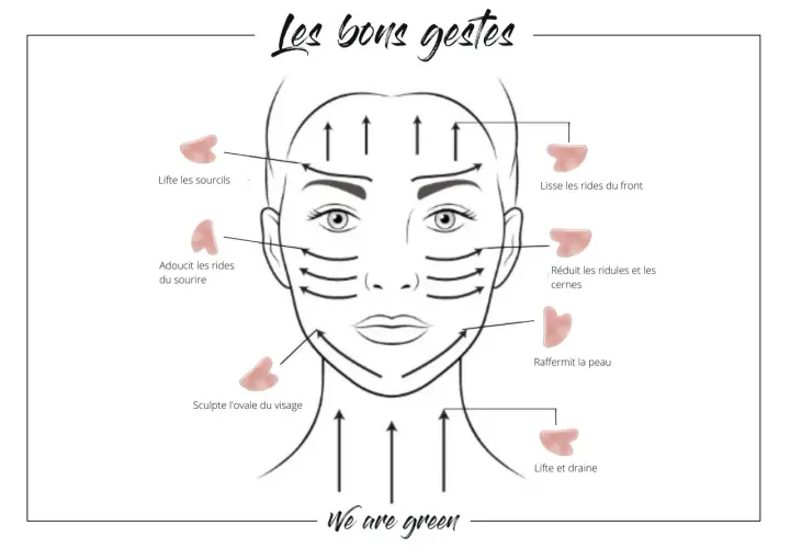 Illustration montrant les bons gestes pour un facial massage avec des outils Gua Sha pour lifter, lisser et raffermir la peau.