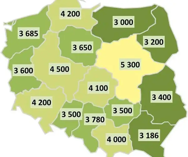 Ile zarabia geodeta po technikum? Zaskakujące fakty o wynagrodzeniach