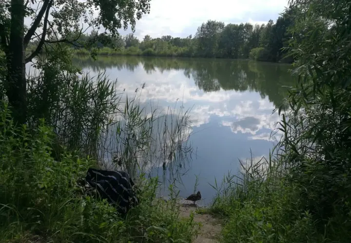 Glinianki Zielonka - Stawy w miejscowości Zielonka