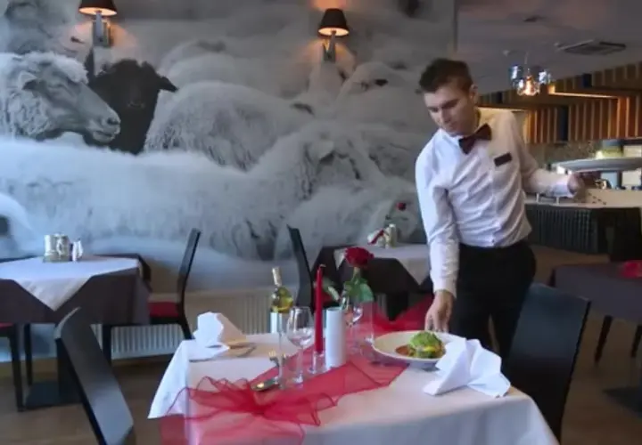 Gdzie zjeść w Piwnicznej-Zdroju? Odkryj najlepsze restauracje