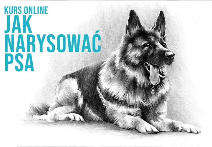 Proste sposoby jak narysować owczarka niemieckiego krok po kroku dla początkujących