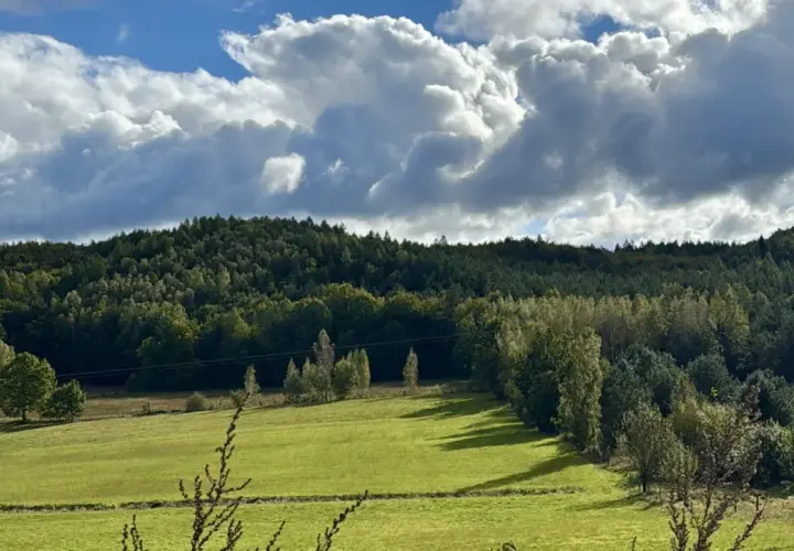 Zielone pola i lasy na Kaszubach, idealne miejsce, gdzie na spacer wybrać się można w słoneczny dzień.