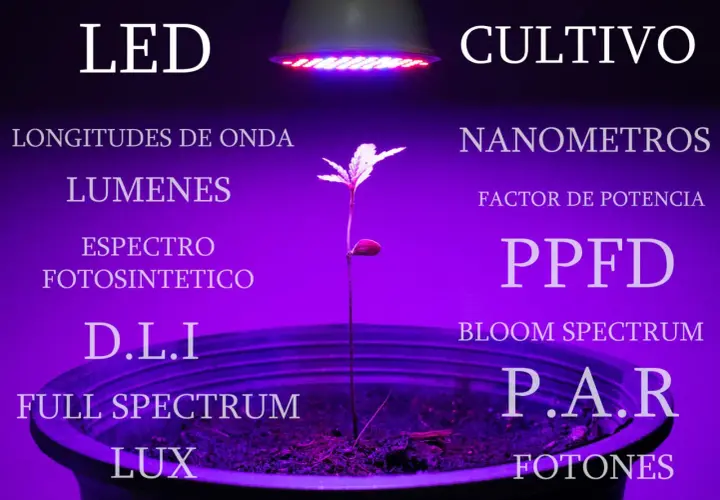 Planta joven bajo un foco led 5w para cultivo, rodeada de términos técnicos como espectro, lúmenes y nanómetros.