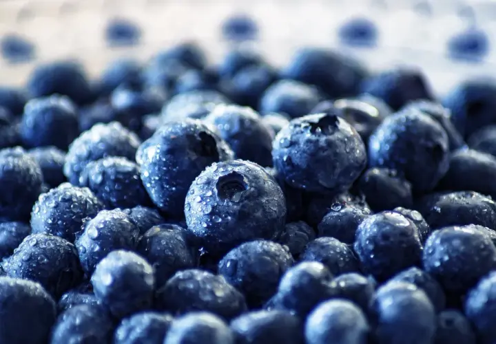 Frische Blaubeeren mit Wassertropfen. Ideal für die Einnahme von Quercetin, wann immer Sie einen gesunden Snack wünschen.