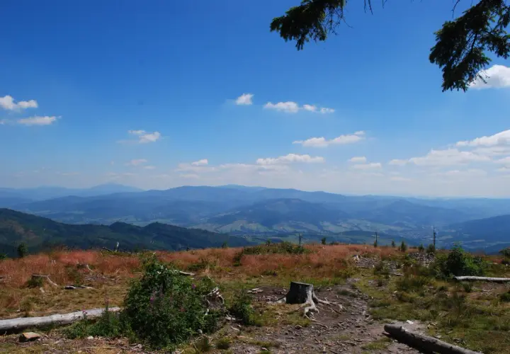 Widok na pasmo górskie Beskidów, gdzie widać liczne wzgórza i doliny. Jakie są szczyty w Beskidach? Ten krajobraz zapiera dech w piersiach.