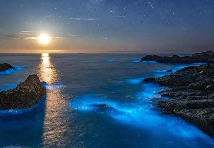 Nocna plaża z rozświetloną przez bioluminescencję wodą i księżycem na niebie.