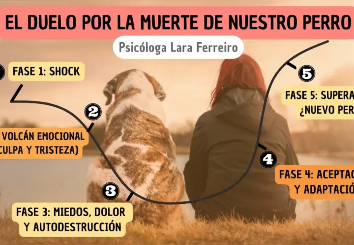 Ilustración sobre cómo superar la muerte de un perro, mostrando las 5 fases del duelo: shock, volcán emocional, miedos, aceptación y superación.