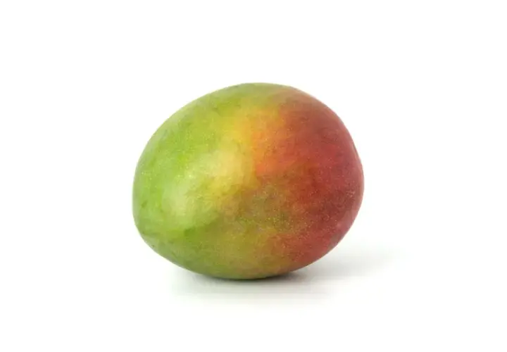 Eine reife Mango, grün und rot, liegt auf weißem Grund. Sie erinnert an einen kleinen, bunten Hund, der sich sonnt.