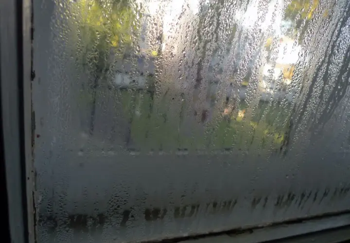 Vetro appannato, segno di dispersione termica in casa. Goccioline d'acqua sul vetro oscurano la vista esterna, suggerendo un problema di isolamento.