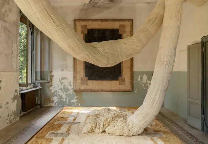 Installation artistique avec des cordes monumentales rappelant le passementier métier, drapant une pièce aux murs décrépis et sur des tapis graphiques.