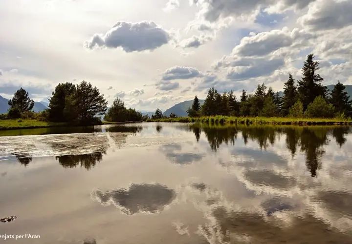 La bassa d'Arres, un espejo de agua sereno, refleja árboles frondosos y un cielo nublado.