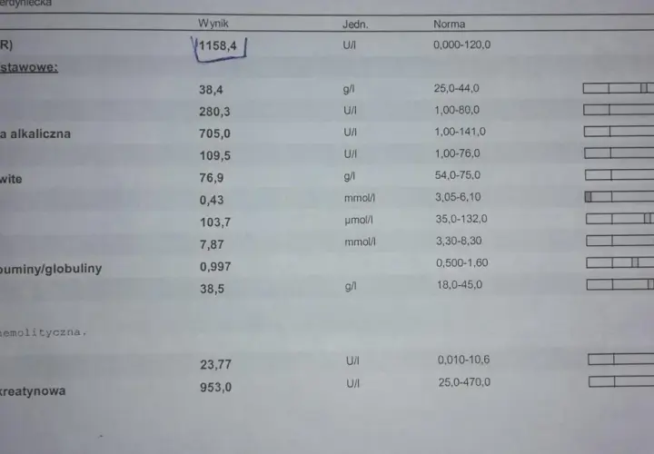 Wynik badania lipazy u psa: 1158,4 U/I, znacznie przekracza normę (0-120 U/I).