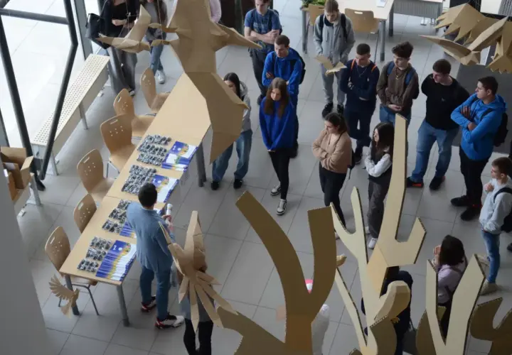 Studenci podczas prezentacji projektów z dziedziny studiów rolniczych, otoczeni kartonowymi instalacjami.