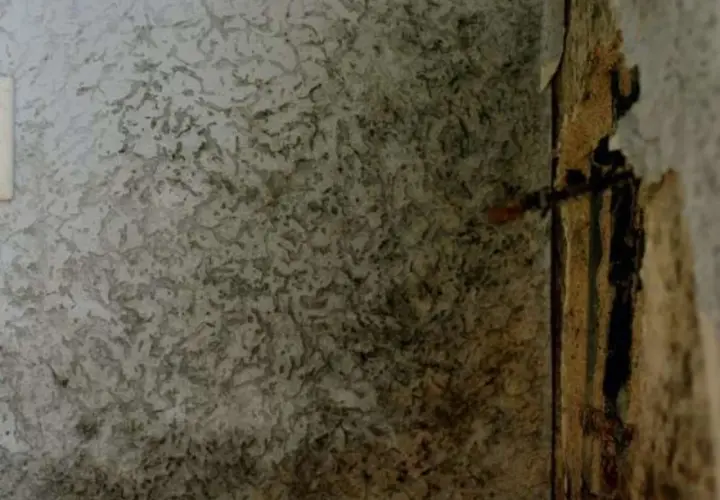 Strukturierte Wand mit dunklen Flecken, die darauf hindeuten, dass man eine feuchte Wand erkennen kann. Beschädigte Tapete an der rechten Seite.