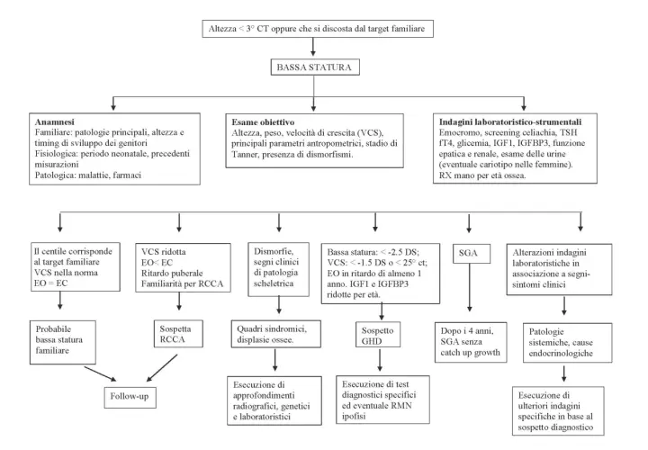 Diagramma di flusso per la bassa statura: valuta anamnesi, esame obiettivo e indagini per determinare se l'ormone della crescita è necessario fino a una certa età.