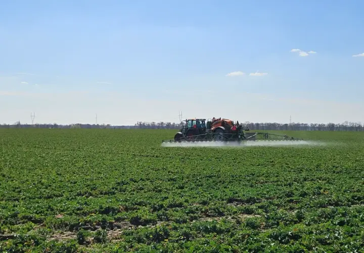 Traktor opryskuje pole zielonych roślin. To ważny etap, by zrozumieć, czym jest karencja i kiedy można spożywać plony.