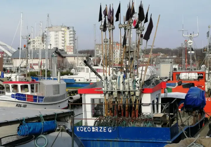 Gdzie kupić świeże ryby w Kołobrzegu? Sprawdź najlepsze miejsca