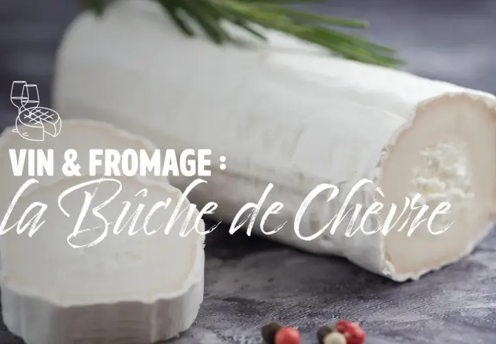 Bûche de chèvre fraîche, parfaite pour un accord vin et fromage. Quel vin avec fromage de chèvre ? Découvrez nos suggestions.