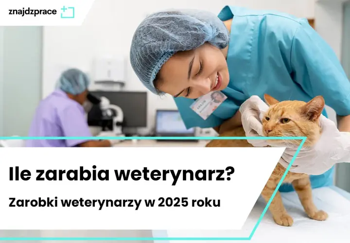 Weterynarz zarobki: 7540 zł brutto? Poznaj realne kwoty!