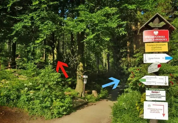 Babia Góra czerwony szlak: Ile km, ile czasu? Uniknij błędów!