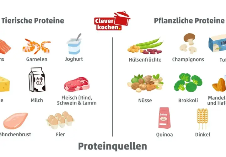 Tierische und pflanzliche Proteinquellen: Lachs, Garnelen, Joghurt, Käse, Milch, Fleisch, Hähnchenbrust, Eier, Hülsenfrüchte, Champignons, Tofu, Nüsse, Brokkoli, Mandel-, Soja- und Haferdrink, Quinoa, Dinkel.