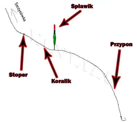 Jak zamontować spławik? Prosty poradnik krok po kroku