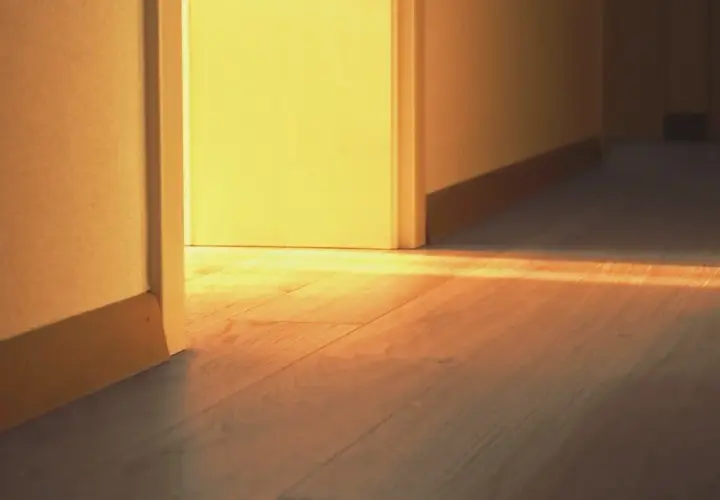 Un raggio di sole illumina un pavimento in legno, creando aloni sul pavimento dopo aver lavato.