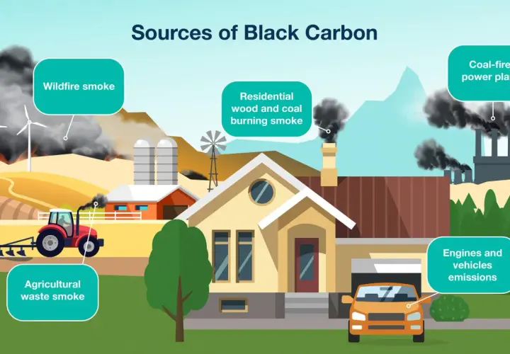 Diversas fuentes emiten humo negro, incluyendo incendios forestales, quema de leña y carbón en hogares, quema de desechos agrícolas, plantas de energía de carbón y emisiones de vehículos.