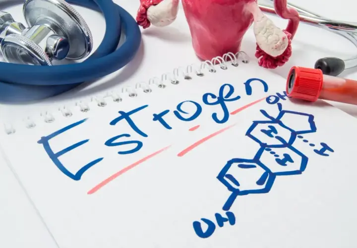 Stetoskop, model narządów rodnych i wzór chemiczny estrogenu na notatniku. Jak podwyższyć estrogen?