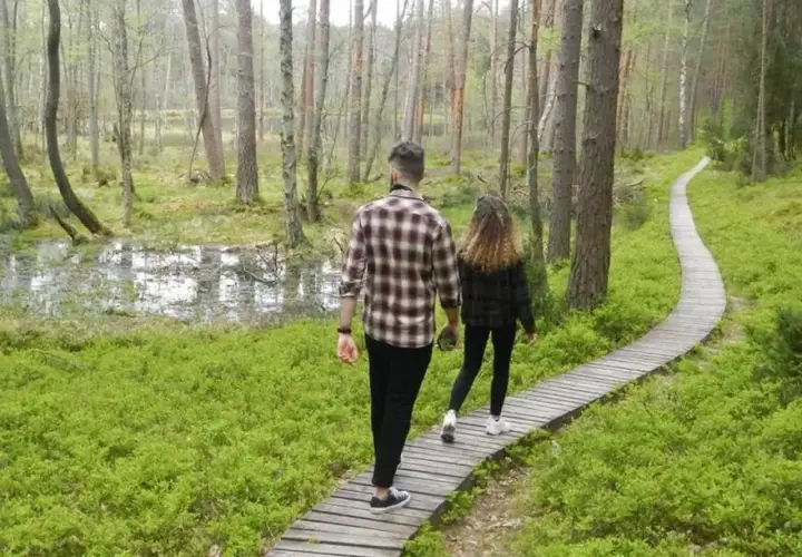 Para spaceruje drewnianą kładką przez malowniczy las. Odkrywają magiczne miejsca kujawsko-pomorskie, gdzie natura zachwyca zielenią i spokojem.