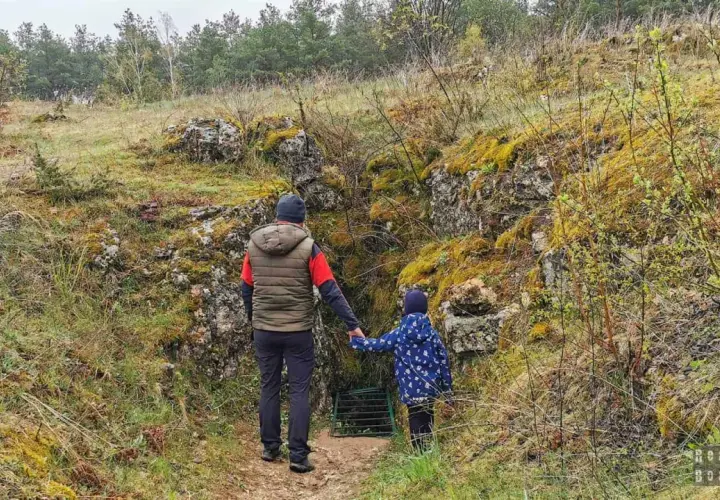 Rezerwat Węże: Tajemnice krasu i prehistorii Góry Zelce