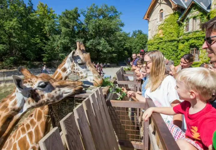 Famille nourrissant des girafes dans un parc d'attractions.