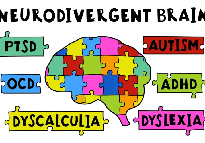 Il cervello neurodivergente è un puzzle colorato, con pezzi che rappresentano autismo, ADHD, dislessia, discalculia, PTSD e OCD.