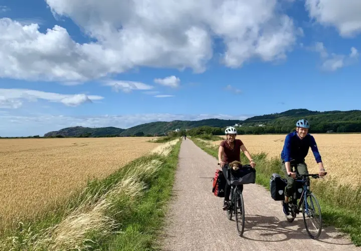 Couple enjoying Sweden bike tours through golden fields, with a dog in a basket.