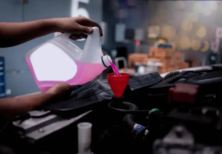 Mano versa liquido di raffreddamento rosa in un imbuto rosso, pronto a controllare il livello nel motore dell'auto.