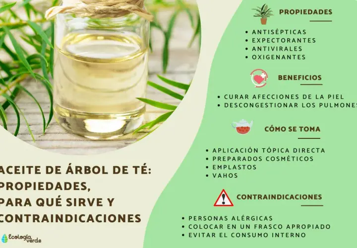 Aceite de árbol de té: usos, propiedades y beneficios. Antiséptico, antiviral y para afecciones de la piel.