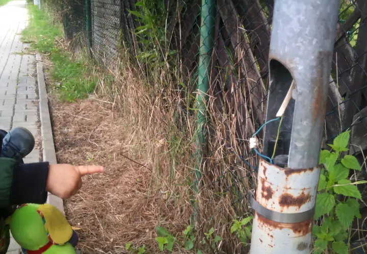 Kto odpowiada za oświetlenie ulic i jak zgłaszać problemy?