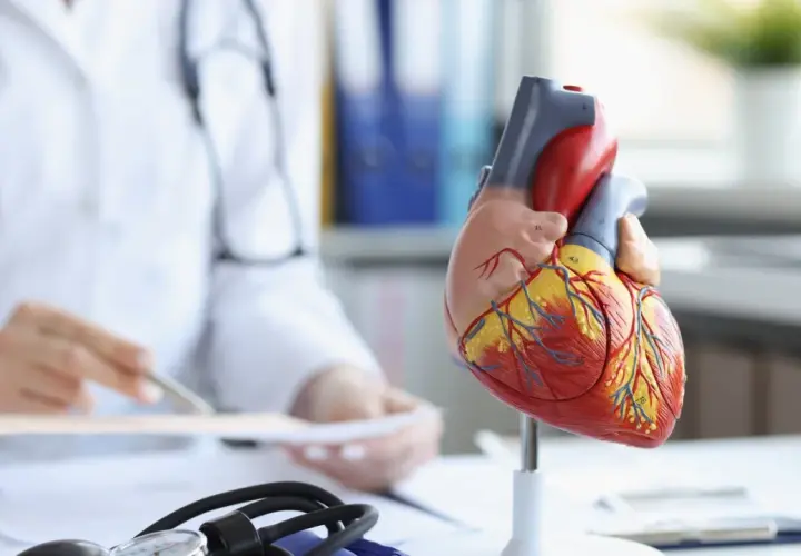 Vorsorge Herzinfarkt: So senken Sie Ihr Risiko effektiv und nachhaltig