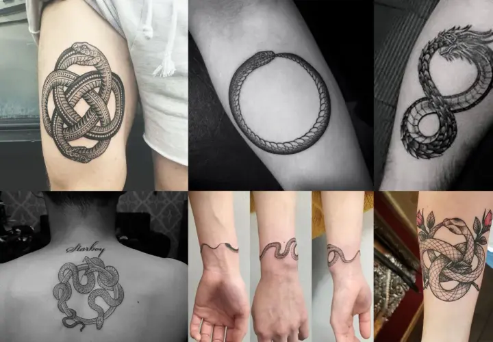 Collage de tatouages de serpent qui se mord la queue, symbolisant l'éternité et le cycle de la vie.