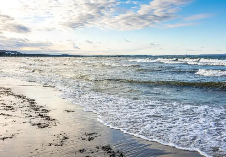 Plaża z falami i wodorostami na piasku. W oddali widać molo i linię brzegową. Idealny widok, kiedy zaczyna się sezon nad morzem.