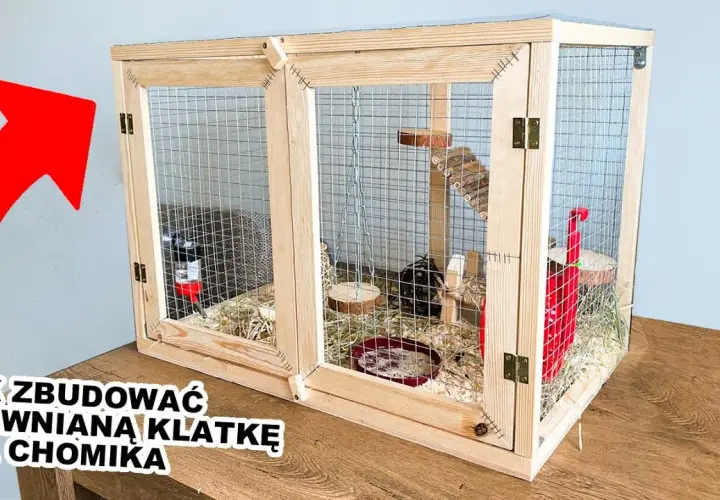 Plac zabaw dla chomika DIY: Bezpieczne pomysły i instrukcje krok po kroku