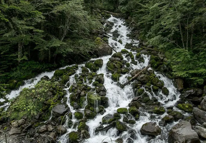 Cascada en los Pirineos, el agua desciende entre rocas cubiertas de musgo, alimentando lagos cristalinos.