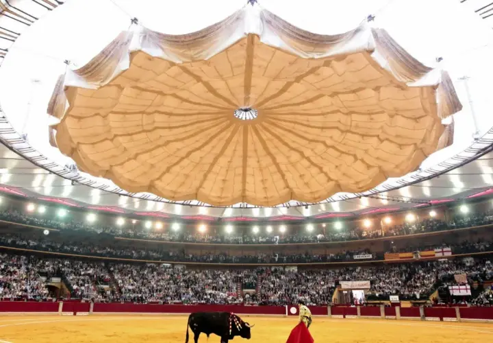 Vista del ruedo y los asientos de la plaza de toros de Zaragoza, con un toro y un torero en la arena, bajo una gran cubierta.