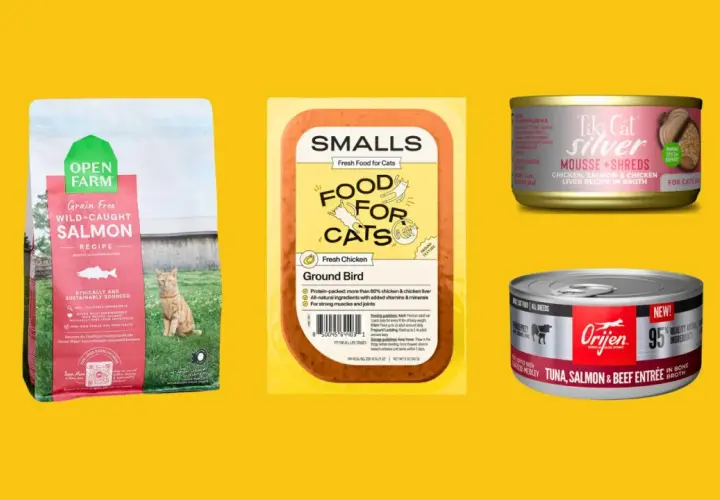 Discover what is the healthiest cat food for indoor cats: Open Farm salmon kibble, Smalls ground bird, Tiki Cat Silver, and Orijen tuna, salmon & beef.